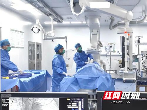 汝城縣人民醫(yī)院獲評(píng)心血管疾病防治技術(shù)牽頭單位，引領(lǐng)區(qū)域健康服務(wù)新篇章